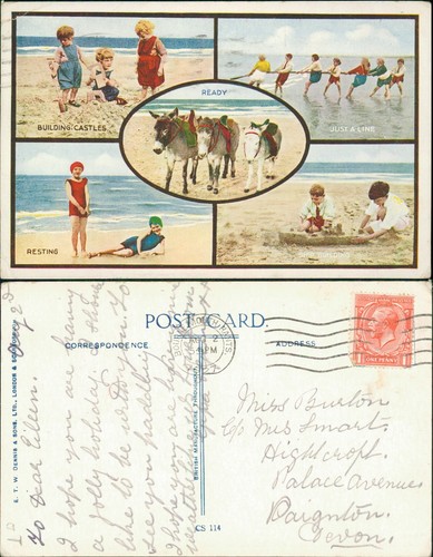 Seaside amusements donkeys - seaside,