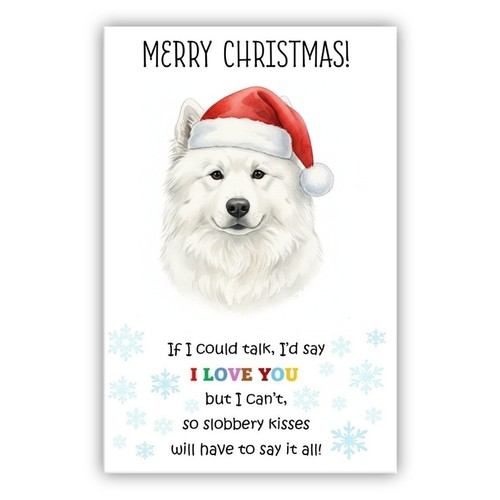 Samoyed christmas card dog - card.,