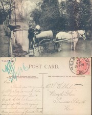 Water carrier with horse and cart Wilhelm 1906 postmark Community Life Social