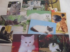 POSTCARD - CATS - KITTENS - JOB LOT 10 CARDS - ANIMALS
