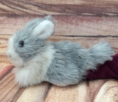 Silver and white bunny rabbit - bunny,