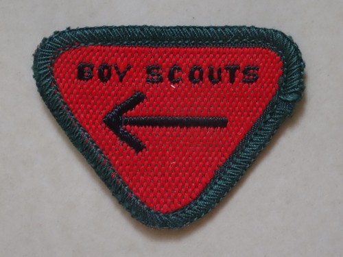 Boy scouts wolf - wolf, cub