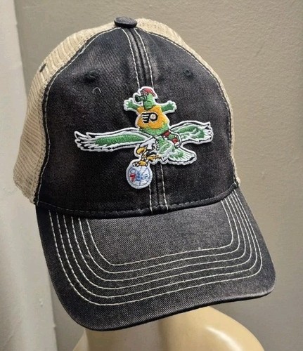 Philadelphia phanatic flying - philadelphia,