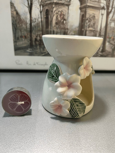 Pink white hibiscus - pink,