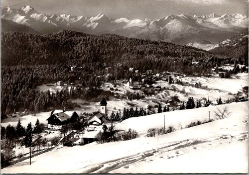 Snow covered village forest - snow,
