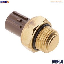 TEMPERATURE SWITCH RADIATOR