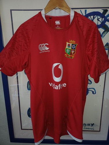 British irish lions rugby - irish,