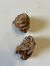 Desert rose crystal x 2 - 50grams total weight, each measure approx 2x4x3cm