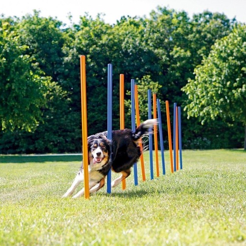 Pursuits pet dog - pursuits,