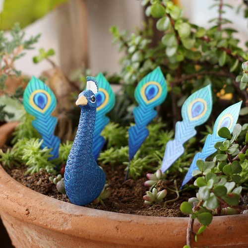 Peacock garden stakes - peacock,