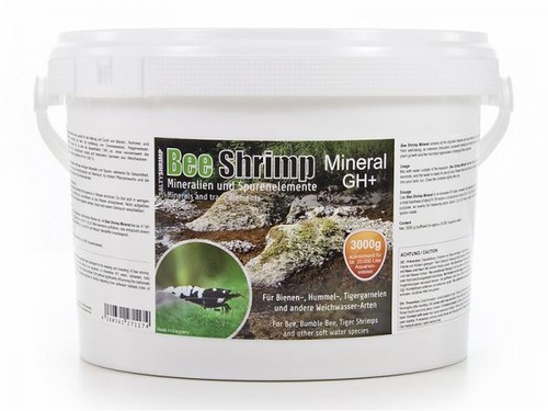 Salty shrimp bee - shrimp, gh+