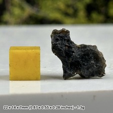 Genuine Indochinite Tektite