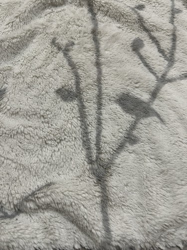 Little giraffe gray bird - giraffe,
