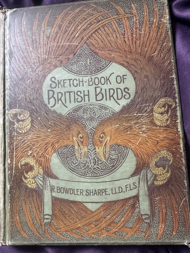 Sketch book british birds - of,
