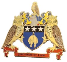 Town and city pin badges - badges,