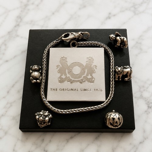 Trollbead charm bracelet - trollbead,