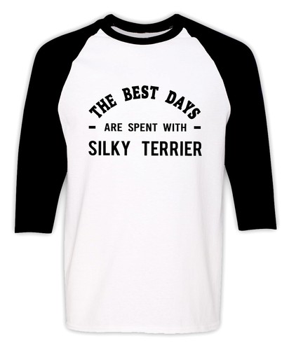 Silky terrier dog owner - terrier,
