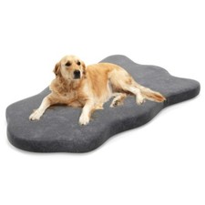Indoor Large Orthopedic Pet