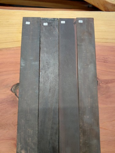 Indian ebony guitar - (bass),