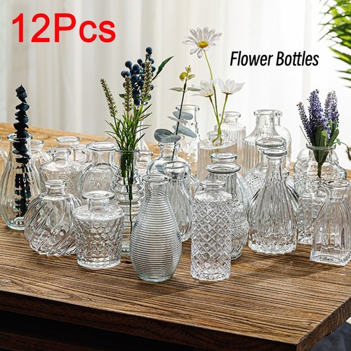 12pcs mini clear - mini, bud