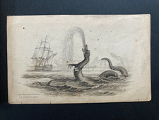 Original 1839 The Great Sea Serpent WH Lizars