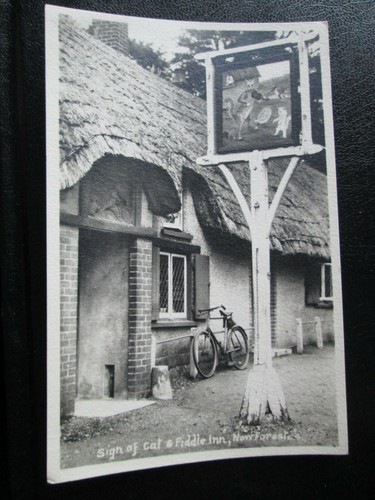 Postcard sign cat - postcard, &