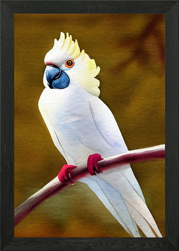 Beautiful white cockatoo - a,