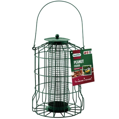 Gardman wild bird - bird, squirrel
