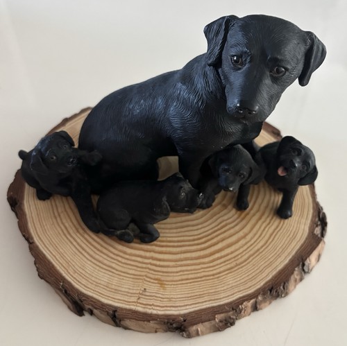 Labrador with puppies stand - labrador, on