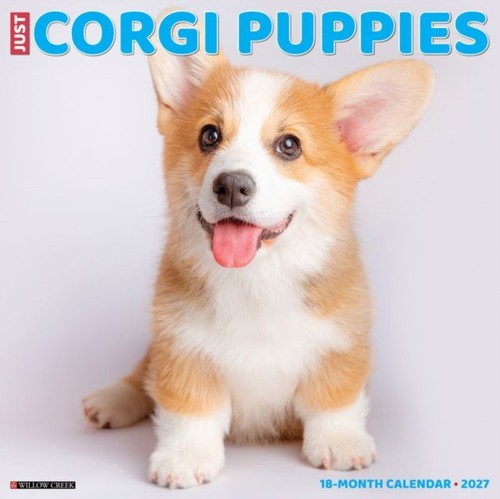 Corgi puppies 2027 wall - corgi,