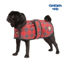 Ginger Ted Waterproof Pug Frenchie Dog Coat harness, small barrel chested, warm