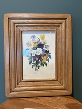 Framed Botanical Print