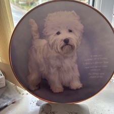 "A Westie's Always True" A