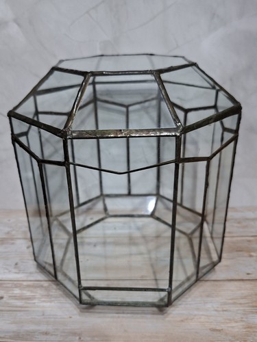 Vintage octagonal terrarium - vintage,
