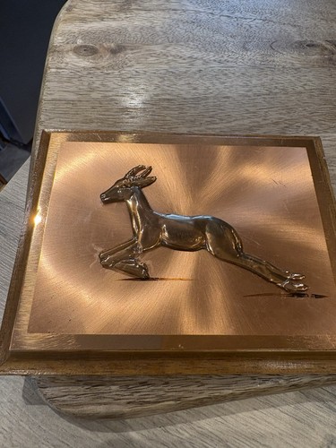 Vintage safari arts - safari, copper