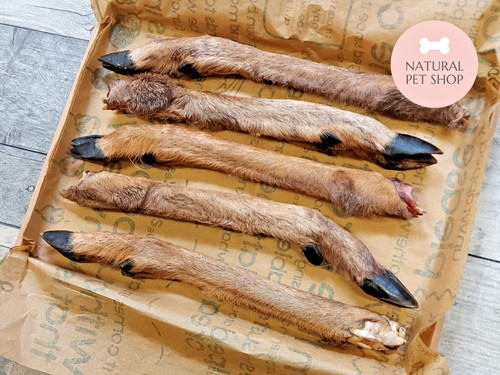 Hairy deer legs x10 x30 - legs, x10-x30