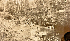 Otter hounds devon river - otter,