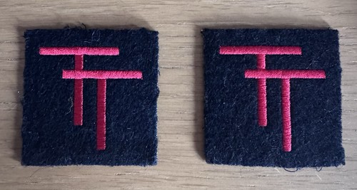 50th tynes tees - (northumbrian),