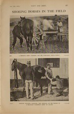 1914 WW1 PRINT SHOEING HORSES IN THE FIELD FRENCH ARMY FARRIER FIELD FORGE