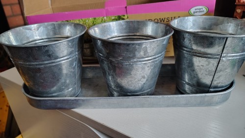 Windowsill herb pots plant - herb,