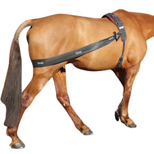 lunging band for horses