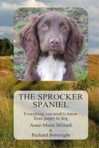 The sprocker spaniel - the,