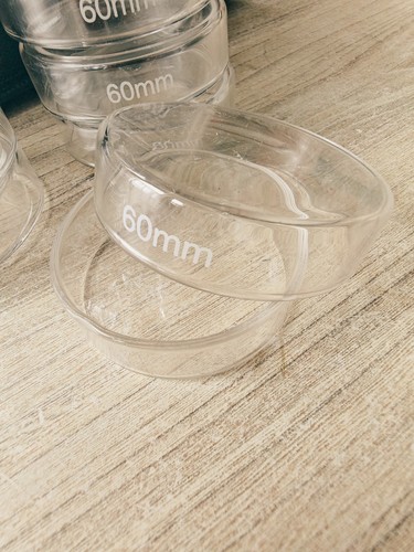 Pcs 60mm high borosilicate - high,