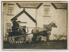 Two Ladies Aboard Horse Drawn Carriage Antique Albumen Photograph C15