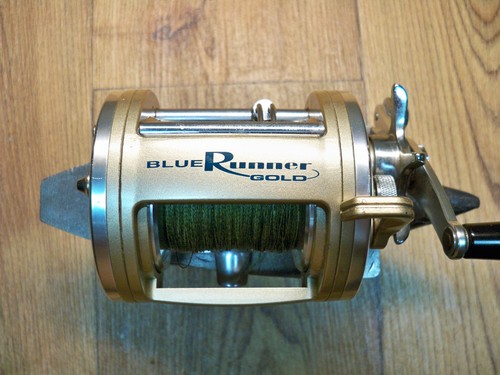 Quantum blue runner gold level - blue,