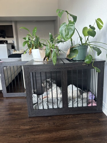 Dog crates for - for, two