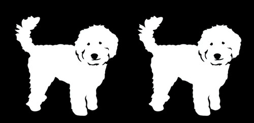 Love labradoodle pk - i, 2