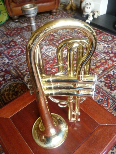 Artemis cornet and case - and,