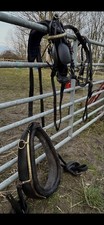 Pony Driving Harness with