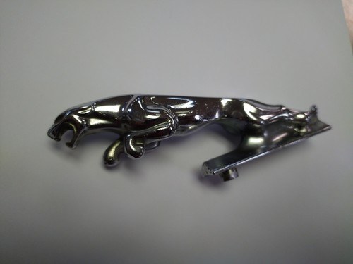 Jaguar leaper cat - jaguar, hood